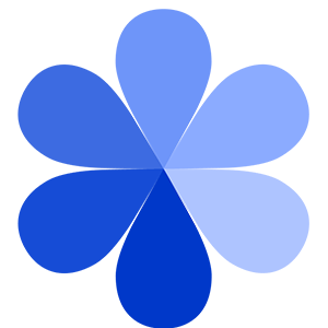 RainDex Logo